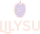 Lilysu.nl